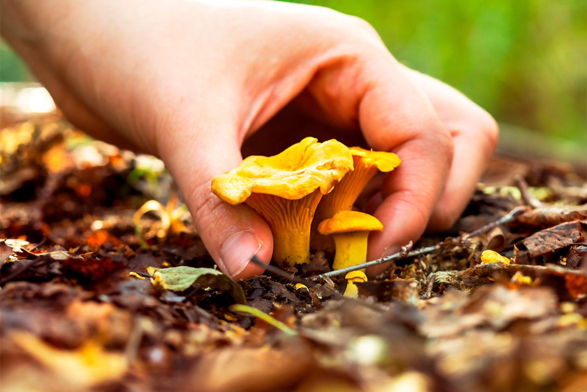    Изображение носит иллюстративный характер. Фото: Natalya_Maisheva / Shutterstock.com