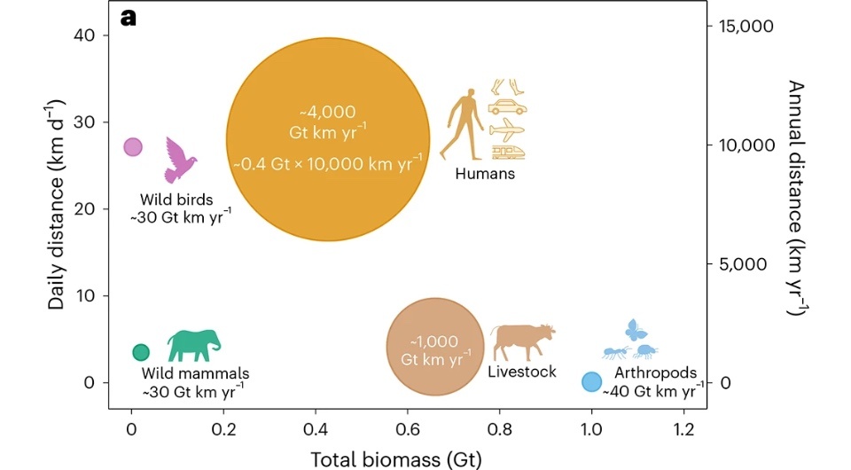   Yuval Rosenberg et al. / Nature Ecology & Evolution, 2025