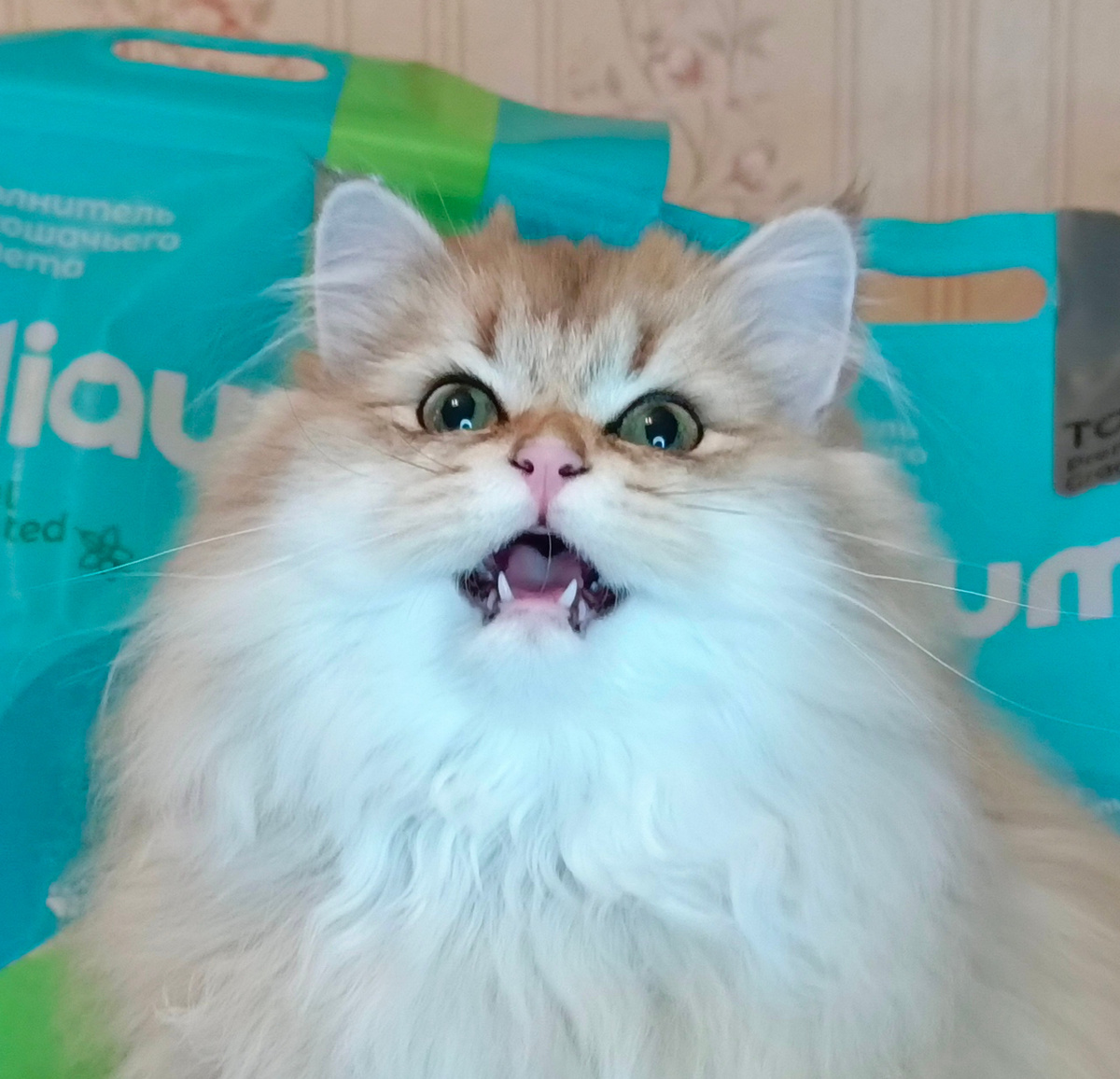 Манипулятор)))