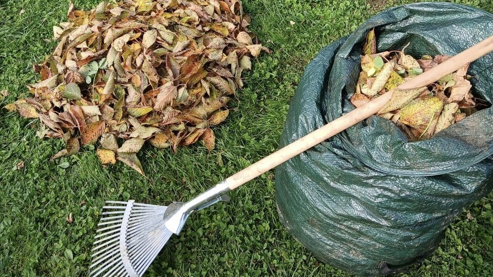 Газон осенью: чек-лист перед зимой