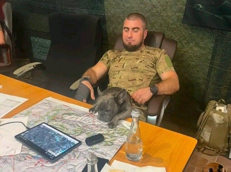     / Источник: Социальные сети