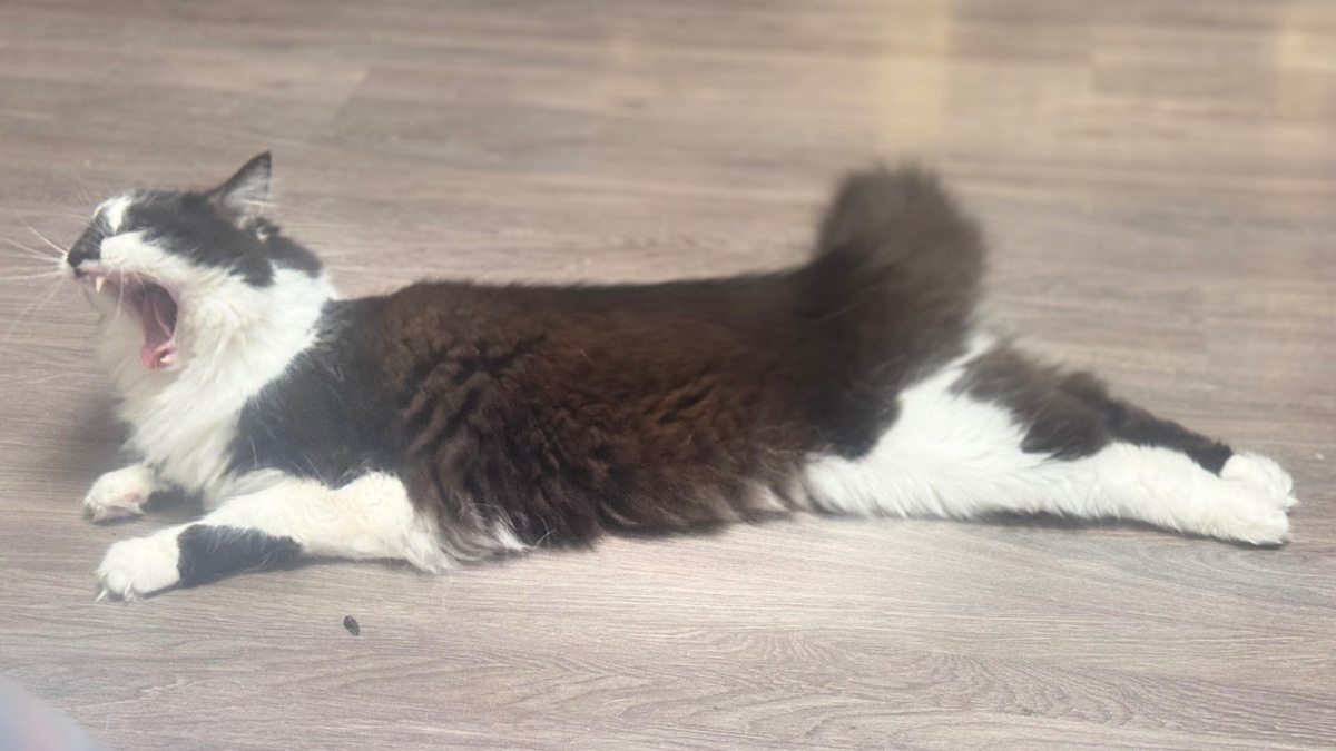 фото из личных архивов