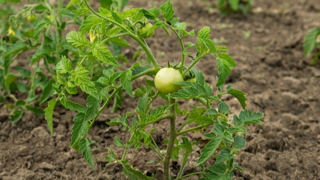 Вот разница между обещаниями и реальностью