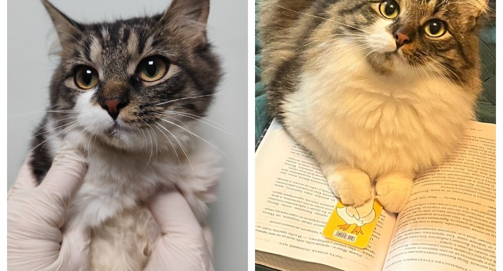 До и после: приятно посмотреть на результаты любви и заботы