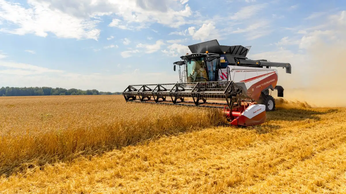 Фото: rostselmash.com / РостсельмашВ номинации «Лучший зерноуборочный комбайн 2025» за лидерство боролись 83 модели: победителем стал TORUM 785