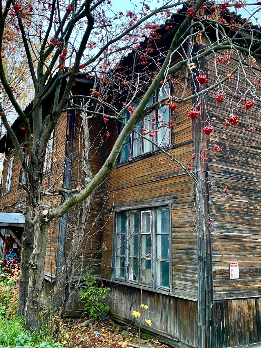 Ул. Коммунистов. Петрозаводск. Фото автора.