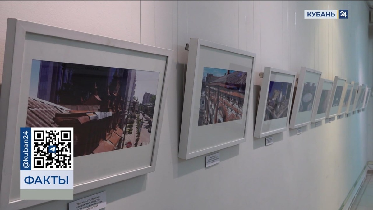    Скриншот видео телеканала «Кубань 24»