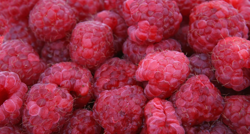    Ветви малины будут ломиться от ягод: 5 осенних работ в октябре-ноябре, которые я провожу обязательно