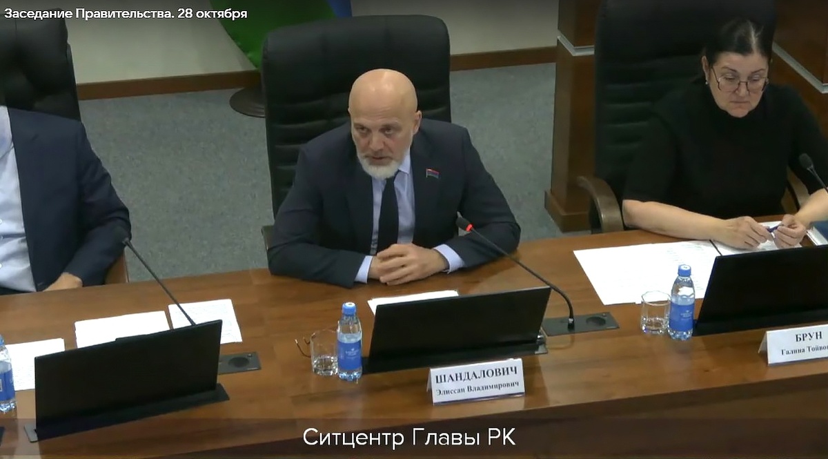 Элиссан Шандалович. Фото: онлайн-трансляция  📷
