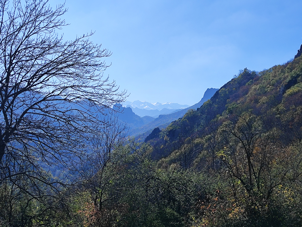 Виды на Кавказский хребет с горы Шоана (октябрь 2025 года)