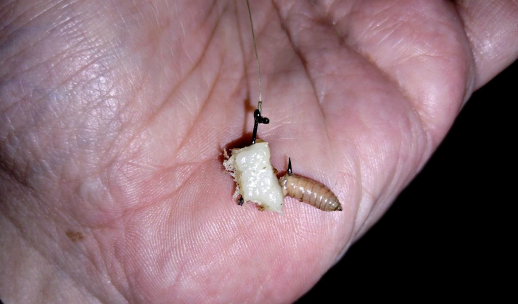 Такой бутерброд простаивал дольше, но размеры подлещика были больше