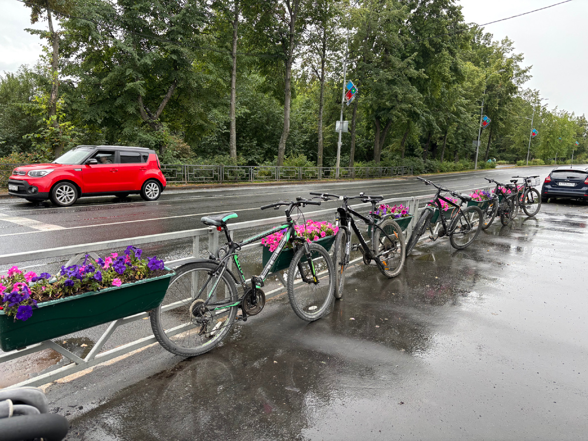 Фото: Александр Панов.