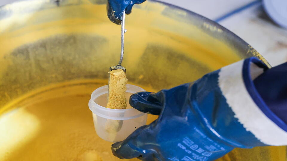 Фото: © Донат Сорокин/ТАСС