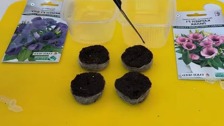 Метод "капля активации" - ключ к быстрому и дружному прорастанию семян