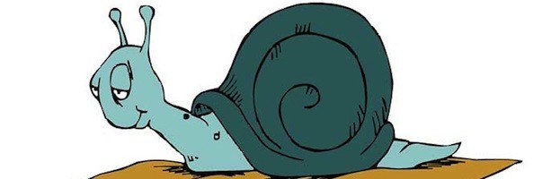 Источник: https://www.snail-world.com/wp-content/uploads/snails_kids_7001-623x200.jpg