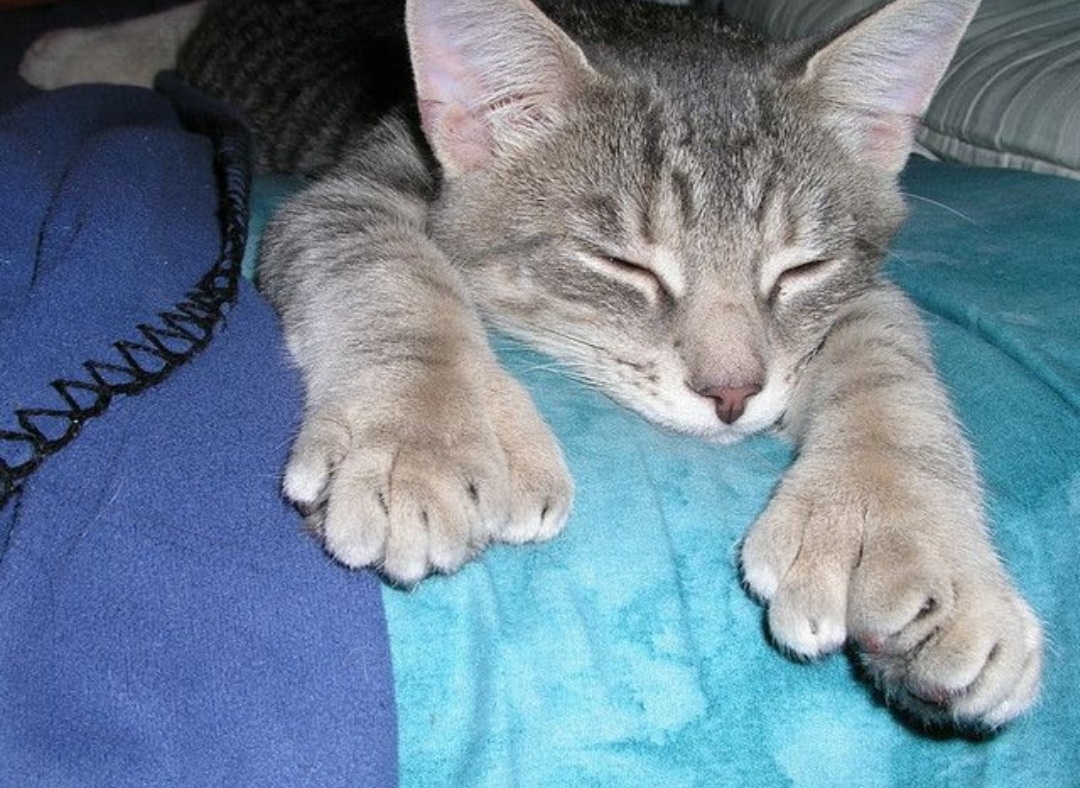 Фото из интернета