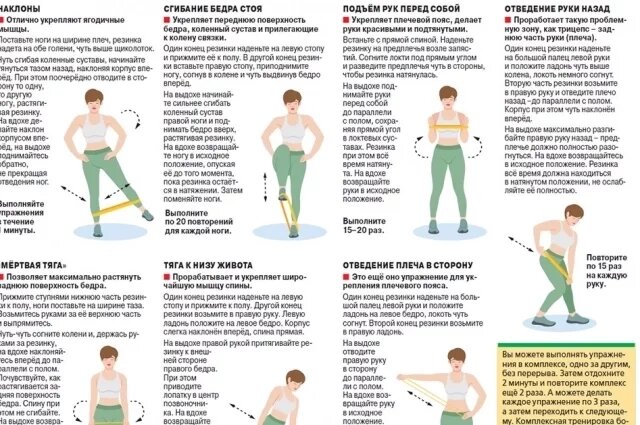    Топ-7 упражнений на разные группы мышц. Инфографика