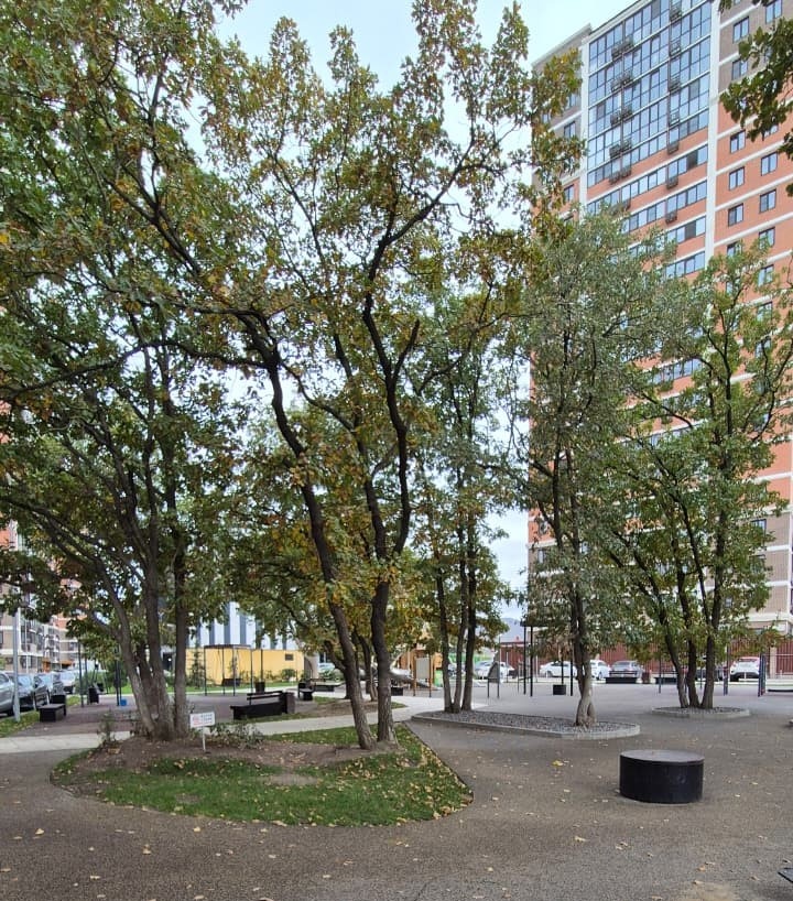 Детская площадка.