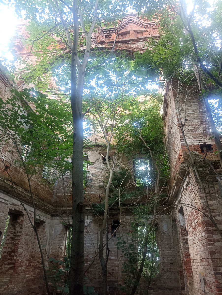 Внутри все зарастает деревьями