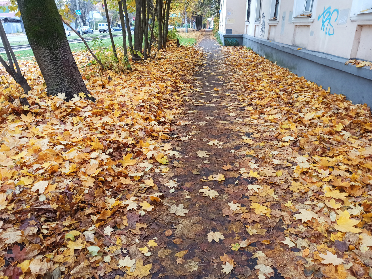 Фото автора. 