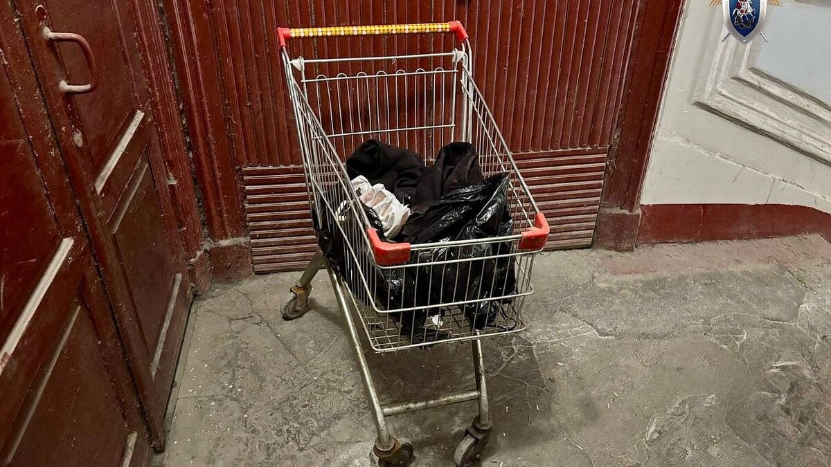    Фото: t.me/gsuskrf_spb