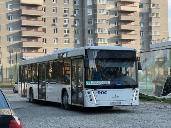    Фото: rostovgortrans.ru