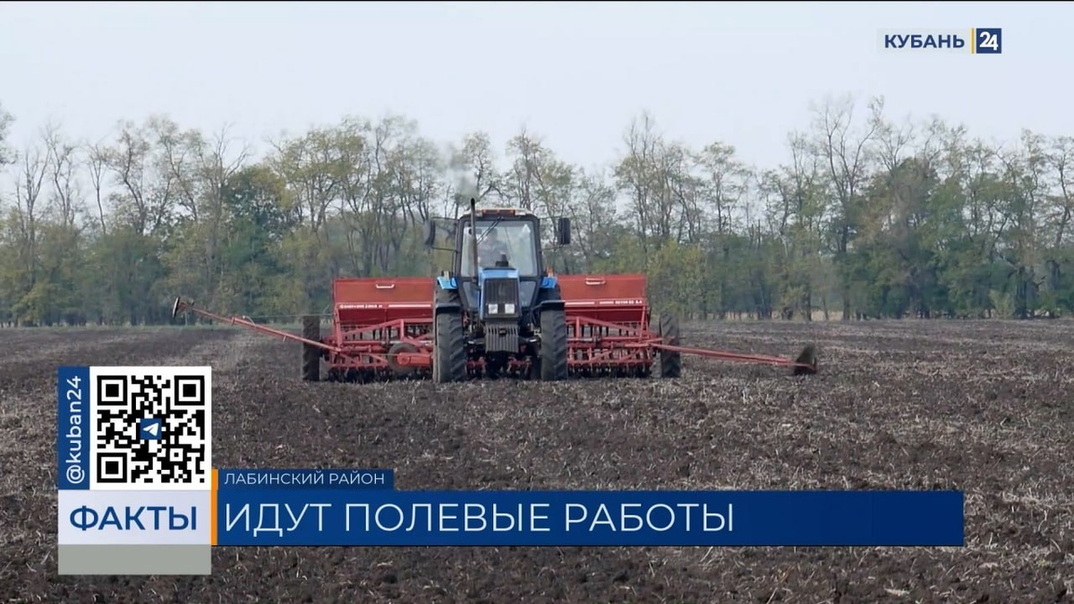    Скриншот видео телеканала «Кубань 24»