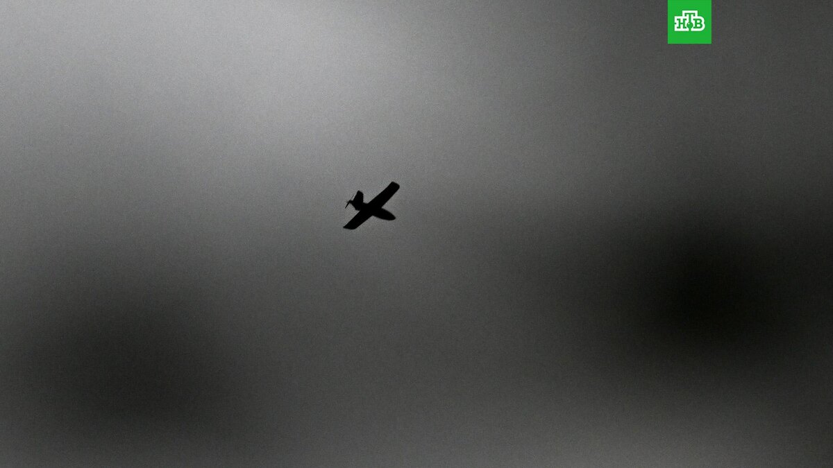    Фото: РИА Новости © 2025, Станислав Красильников