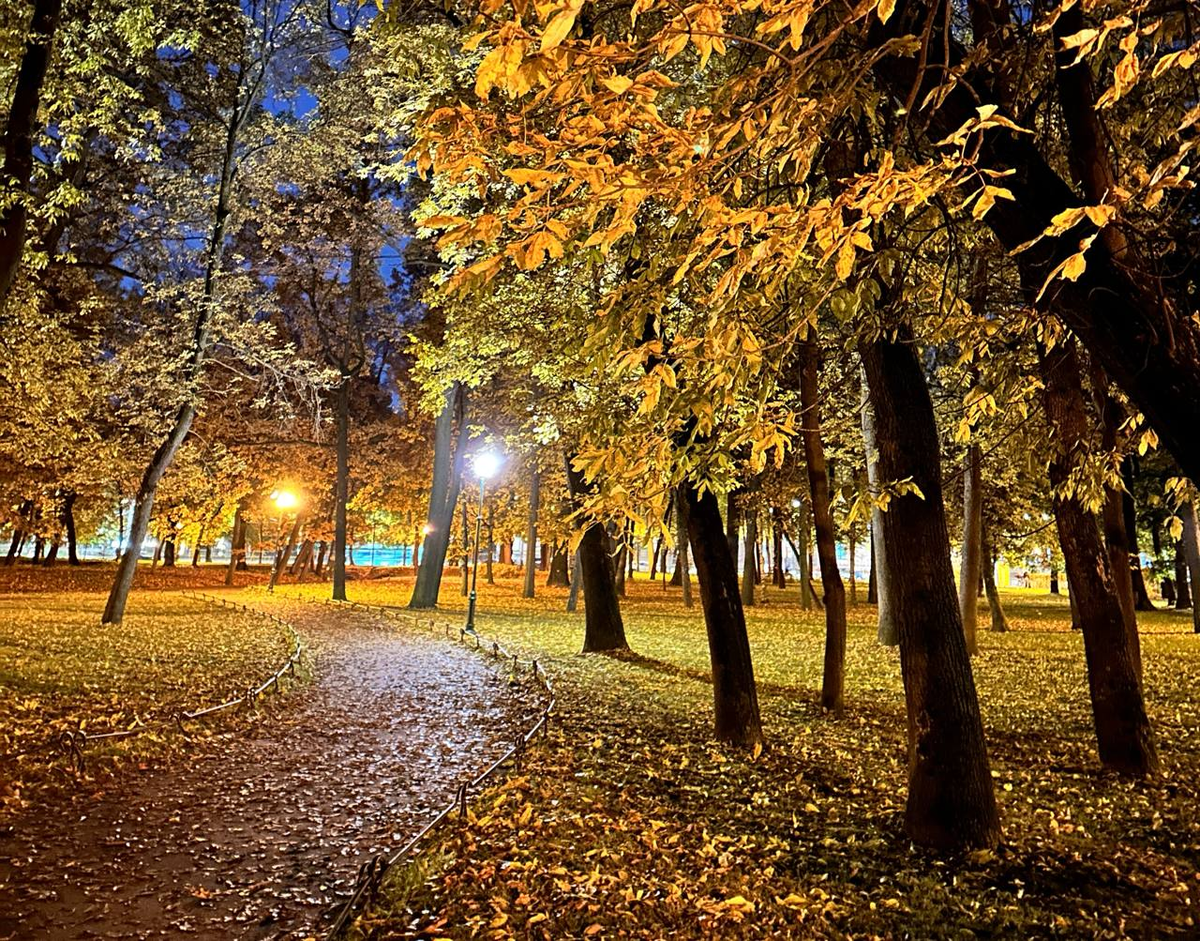 Таврический сад, осень 2025 года