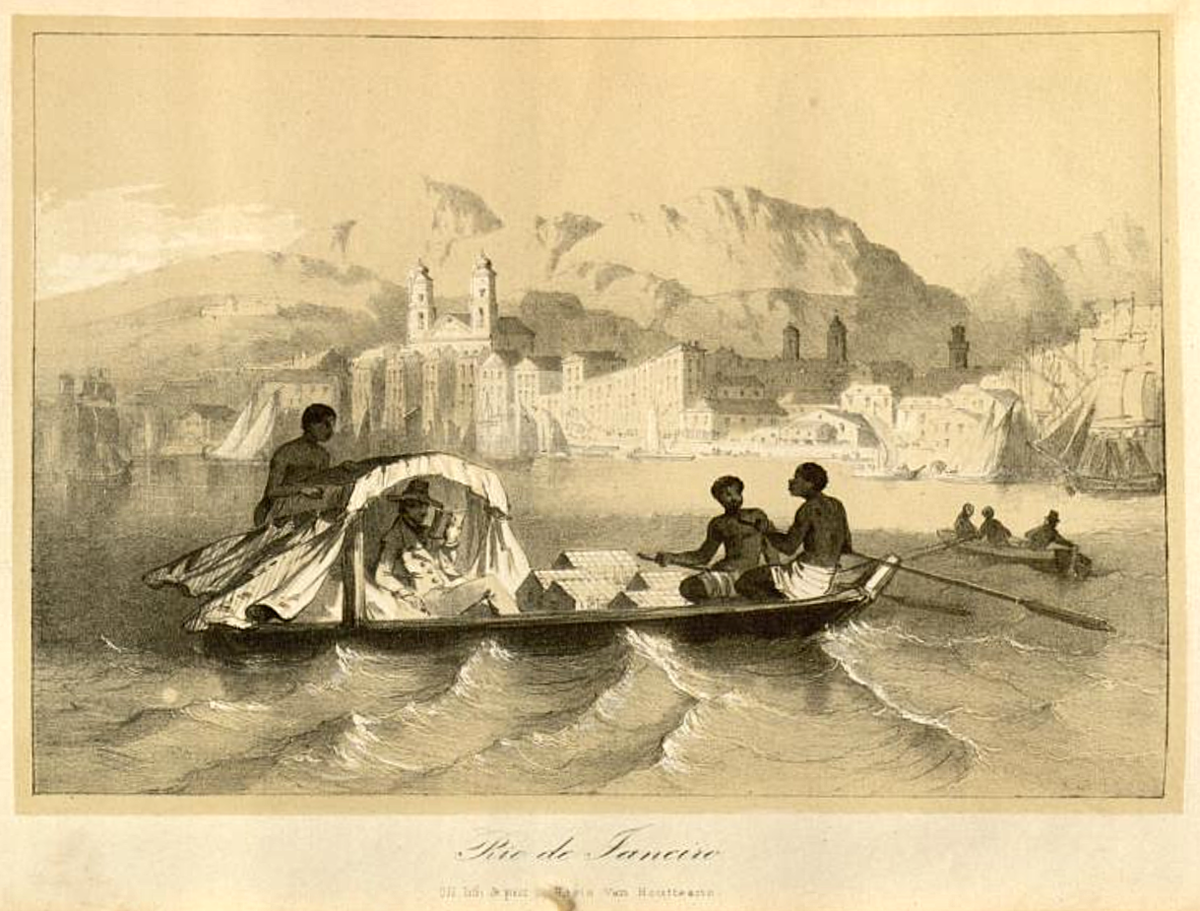 Рио-де-Жанейро. Иллюстрация к статье Ван-Гутта в 4 номере журнала "Flore des serres et des Jardins de l'Europe"