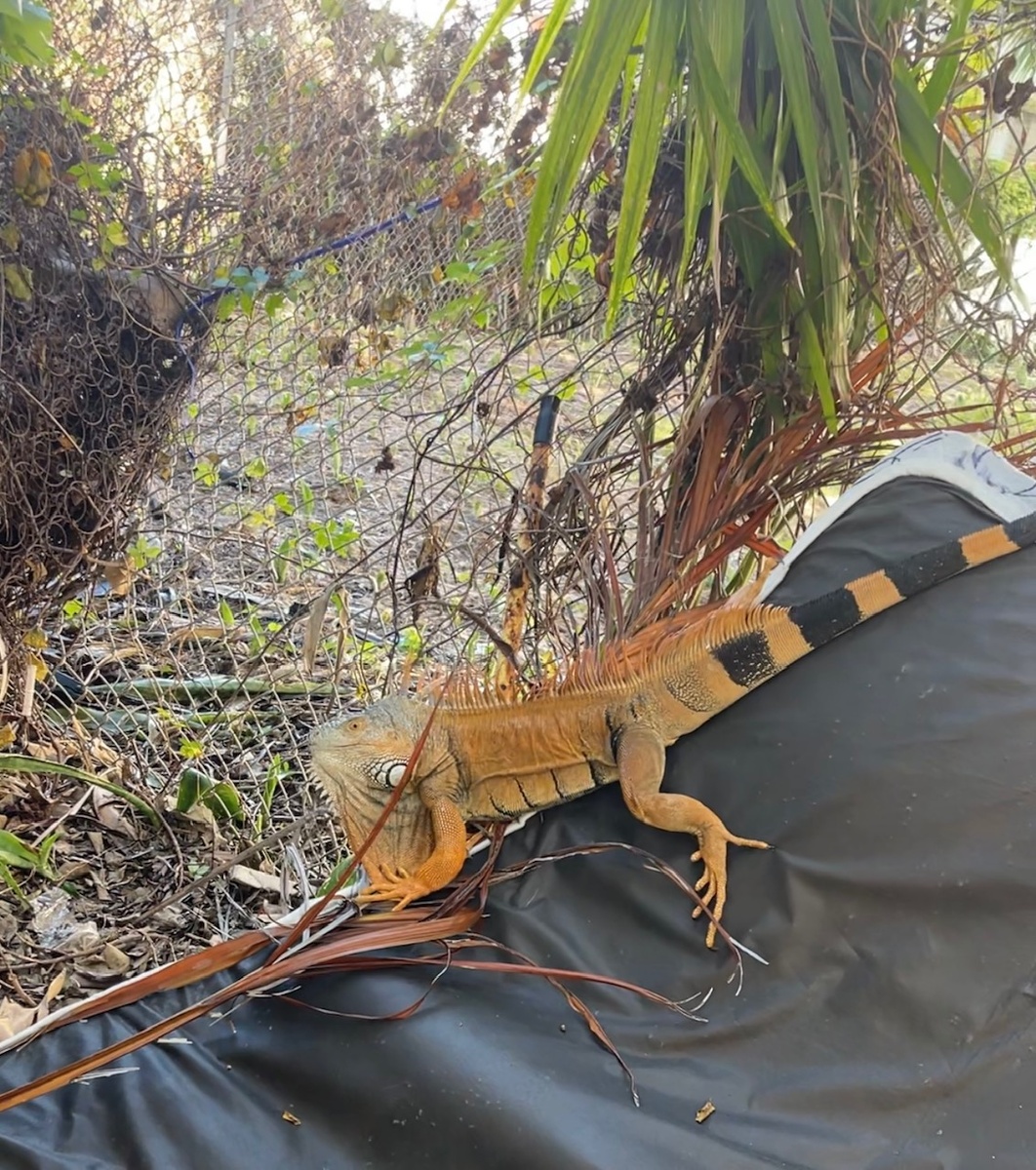 Фото автора статьи