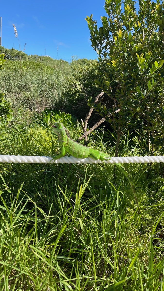 Фото автора статьи