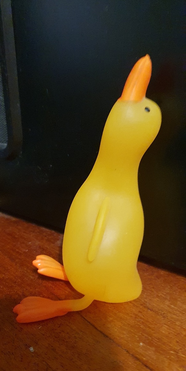 Гусь-фотомодель