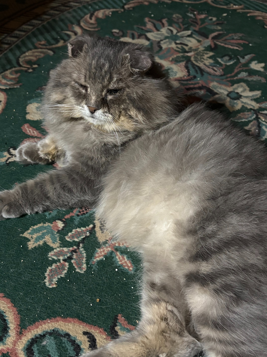 После пения надо отдохнуть!