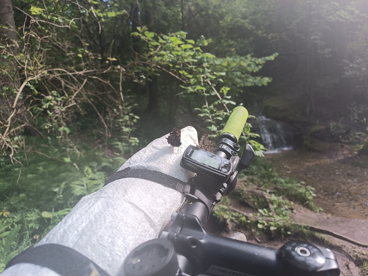 Пара бабочек у водопада заинтересовались моим велокомпьютером.