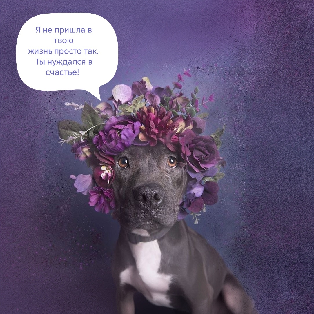 Фото из интернета в обработке автора 