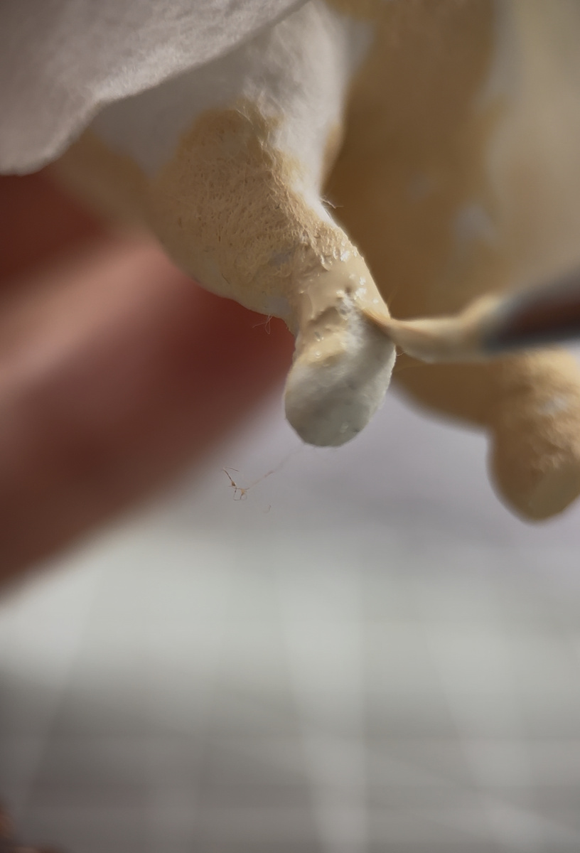 Процесс идет