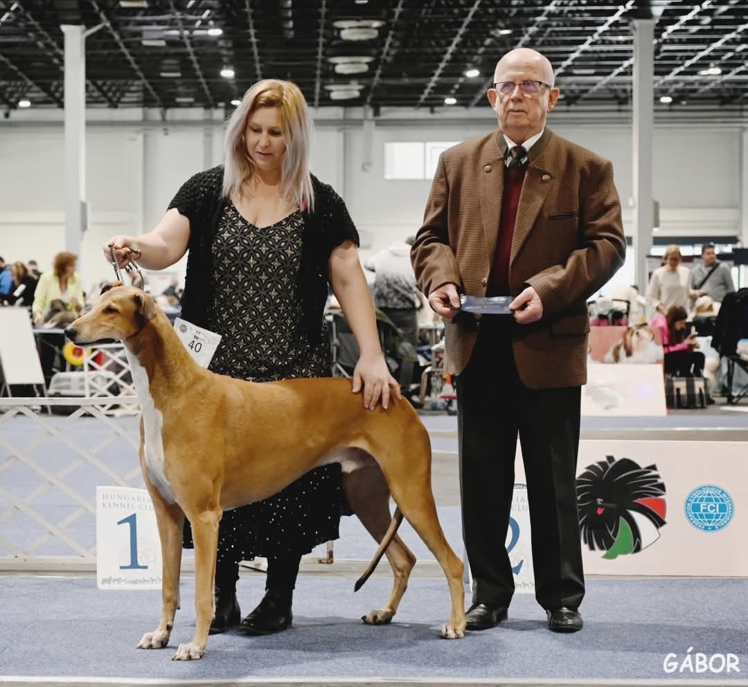 Источник - ВК