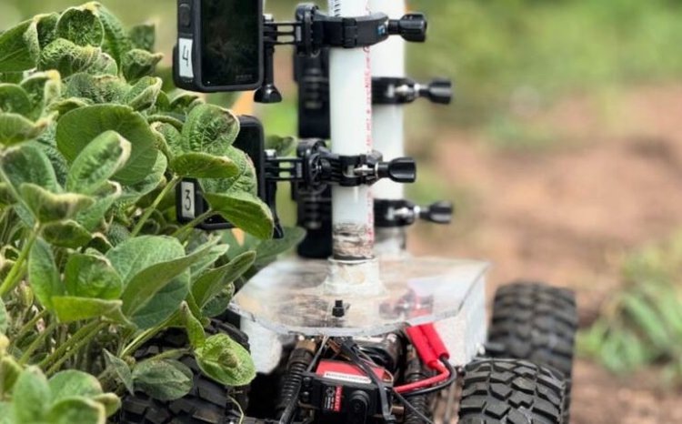 Фото: Тexas Tech University