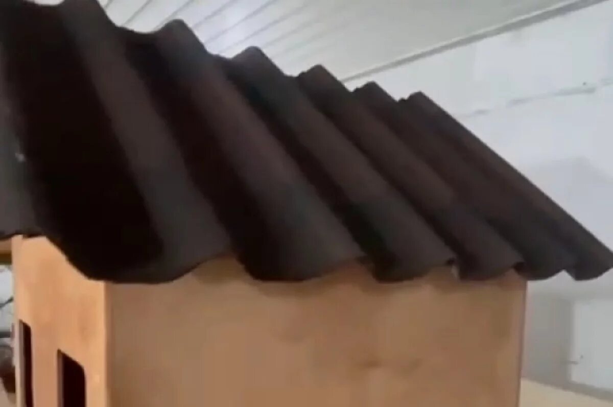    В Избербаше возле школ установят 22 домика для бездомных кошек и собак