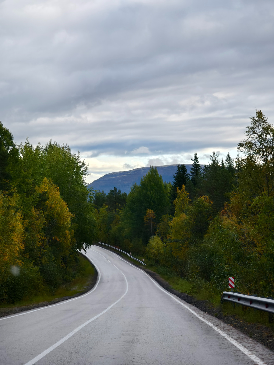 Дорога до Умбы