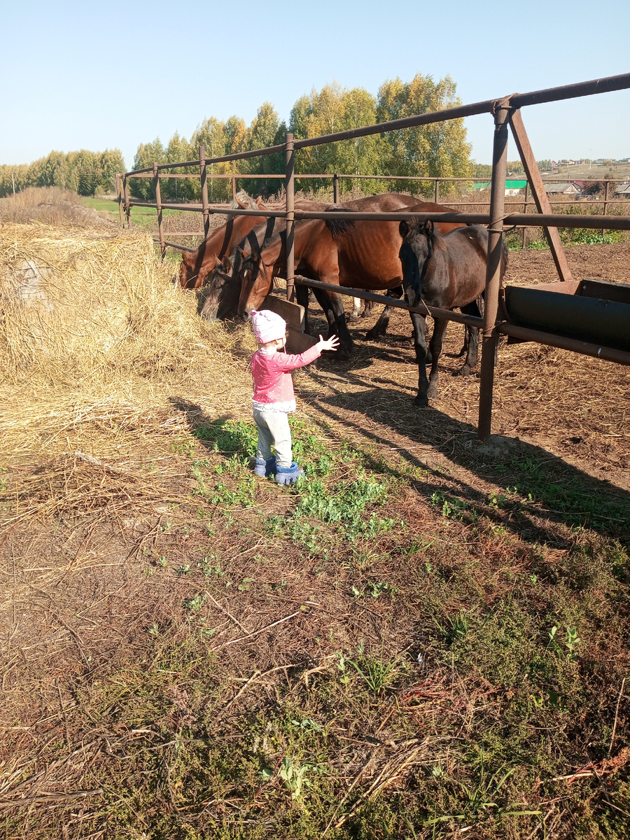 Это так, разбавить текст. Да и лошадки всегда прекрасны