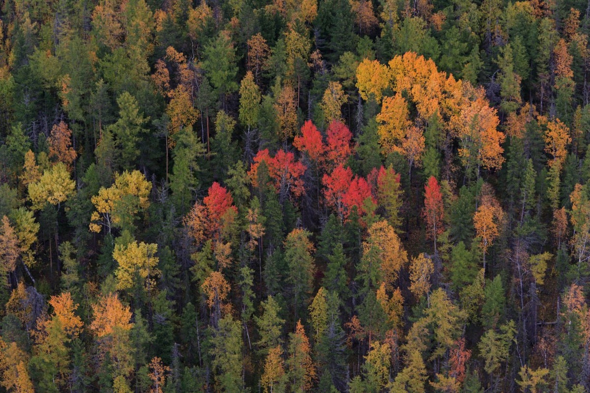 Фото: Globallookpress