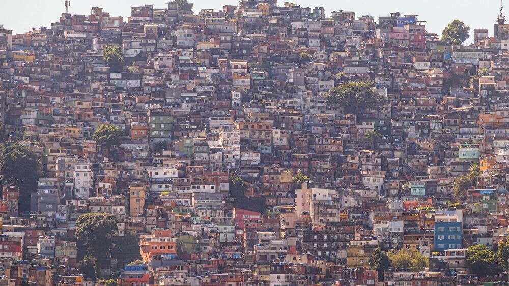    Фото: Bruno Martins Imagens/Shutterstock/Fotodom