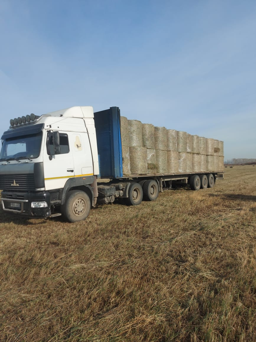 А вот и вторая едет! Ура!!!👍🏻👏🏻