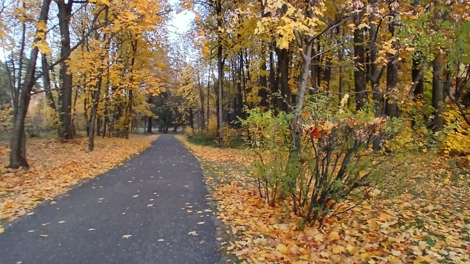 Дороги жизни Глава 26