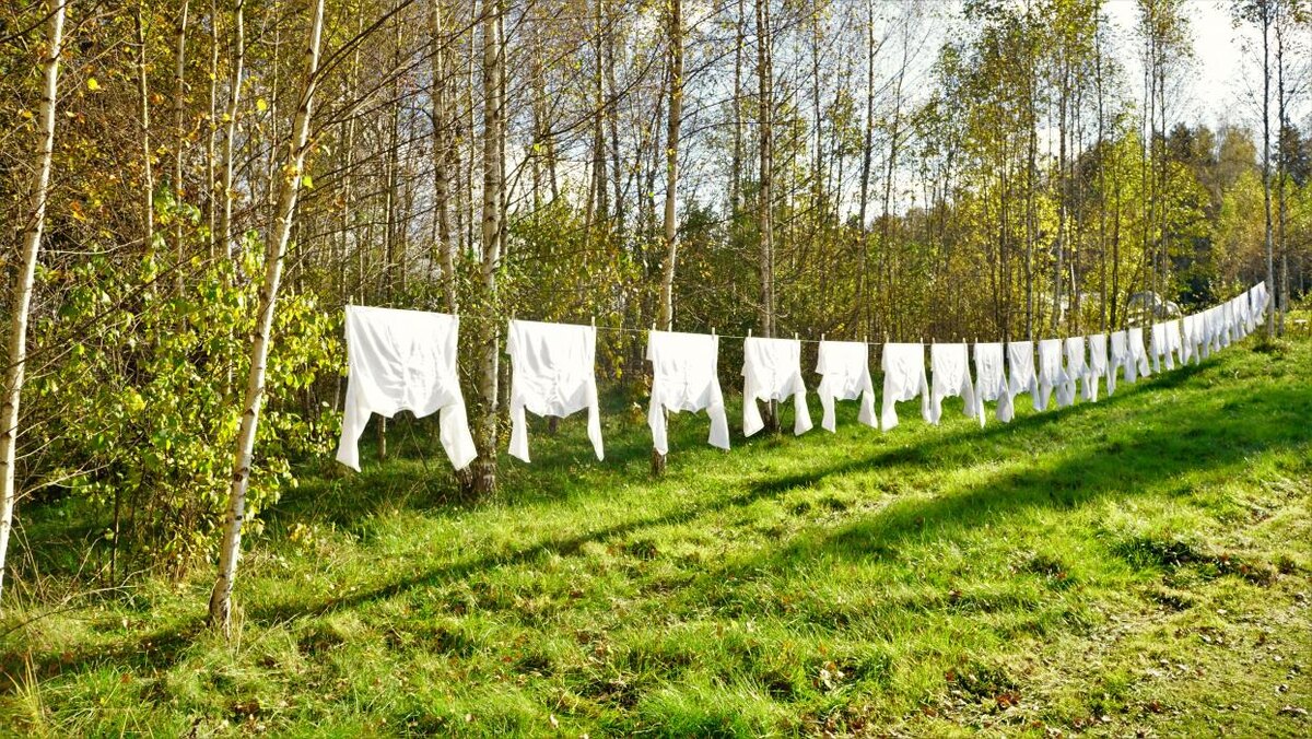 Арт-парк «Тропы» в Пушкиногорском районе
Фото: предоставила Ирина Орландини Авруцкая