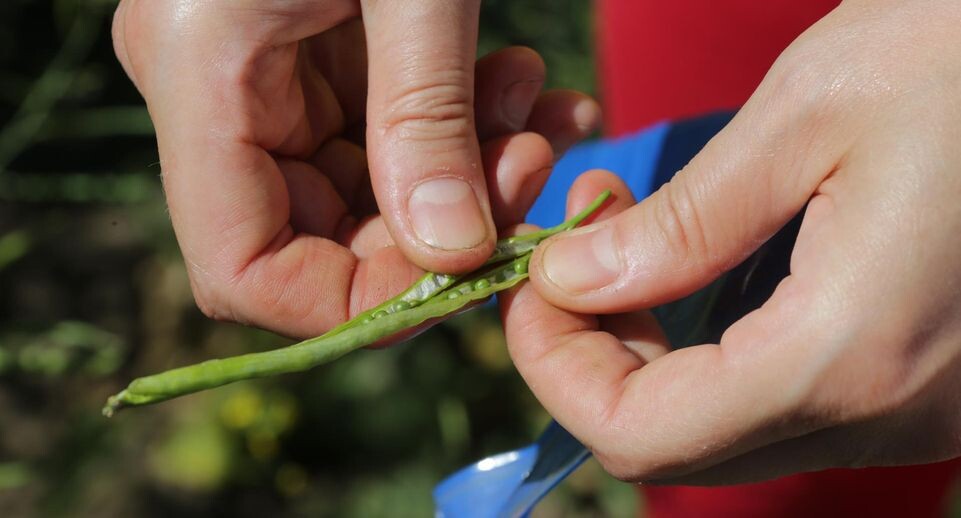    Медиасток.рф