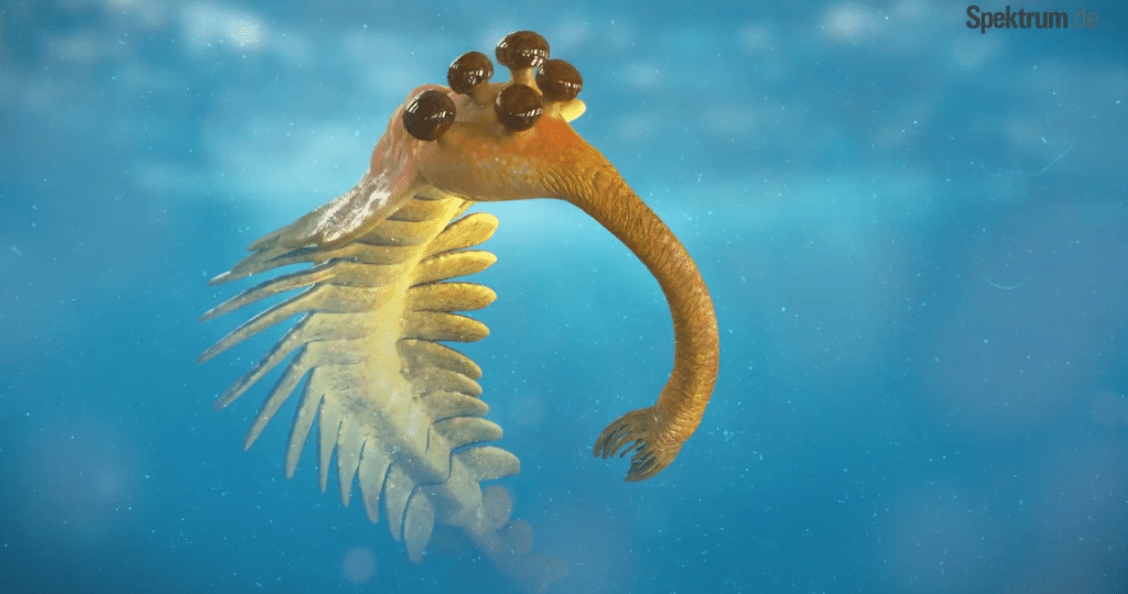 Позвоночные и беспозвоночные животные: в чём разница?