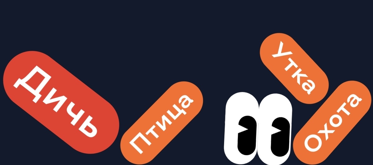 Птица Утка Охота - ДИЧЬ